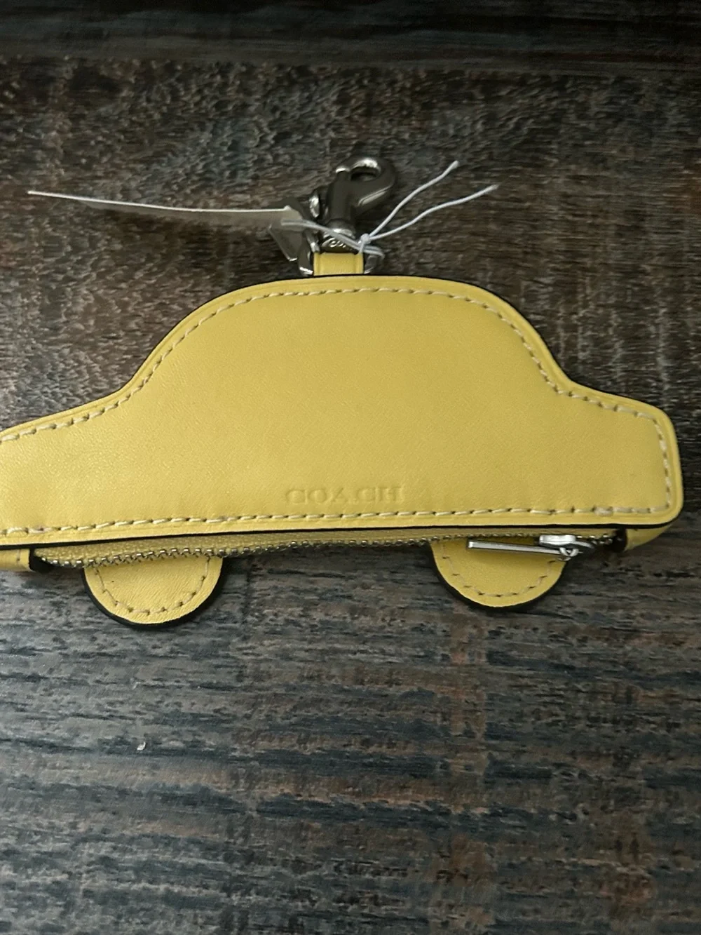 Coach playful taxi